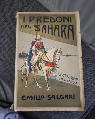 I predoni del Sahara