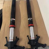 Forcelle WP Superduke 1290 R 2021