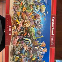 Puzzle Castorland "Underwater life"