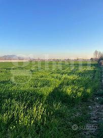 Terreno Agricolo Succivo [Cod. rif 3217854VCG]