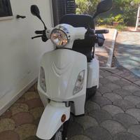 Scooter elettrico 3 ruote