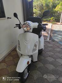 Scooter elettrico 3 ruote