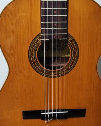 Chitarra classica 