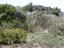 Immagine 26