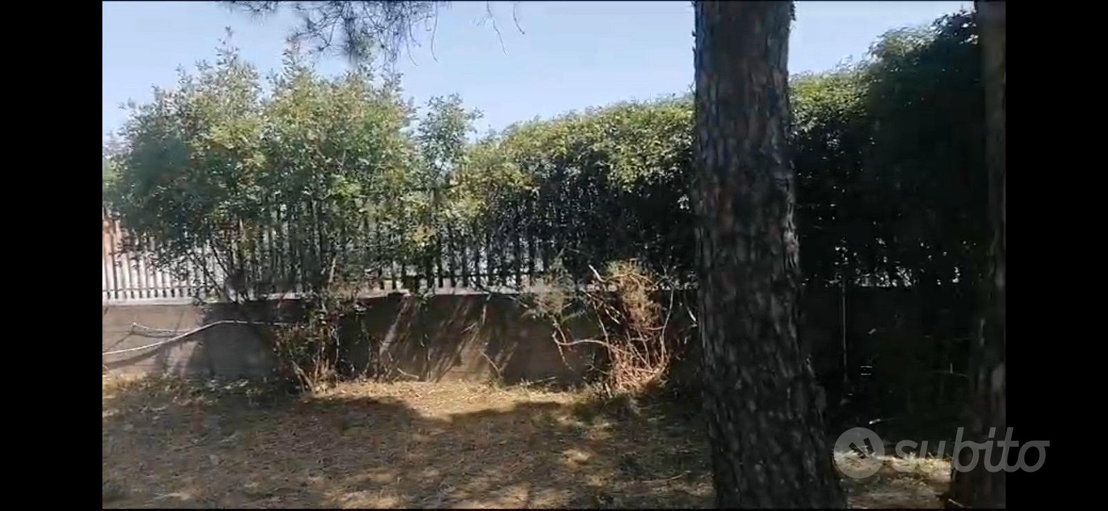 Esclusivo terreno edificabile di 1.200 mq - Vista 3