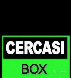 Box o locale