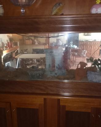 acquario panoramico