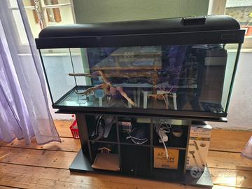 acquario 300l