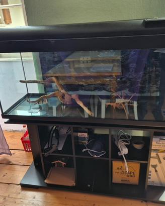 acquario 300l