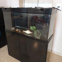 Acquario Grande 120x40 completo di Supporto (Circa