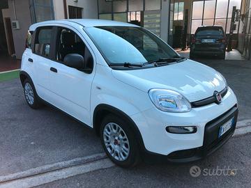 Fiat Panda 1.0 FireFly S&S Hybrid ANNO 2023