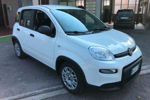 Fiat Panda 1.0 FireFly S&S Hybrid ANNO 2023