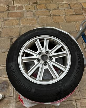 CERCHI MUSTANG