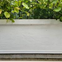 vasi grandi 100x50cm