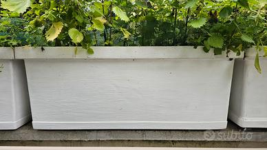 vasi grandi 100x50cm