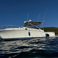 Luhrs 31 ips refittato (con motori ore zero)