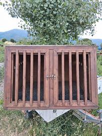 cassa trasporto cani