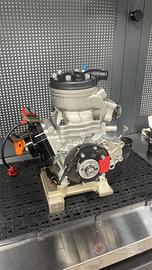 Motore Kart OKN Junior e Senior Modena Eng.