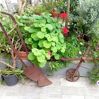 ARATRO ANTICO COMPLETO