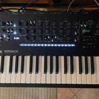 Korg minilogue XD