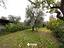 Immagine 25