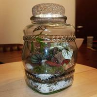 Terrari personalizzati 