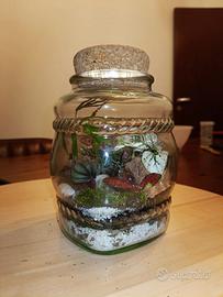 Terrari personalizzati 