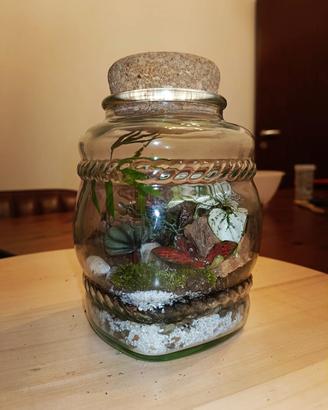 Terrari personalizzati 