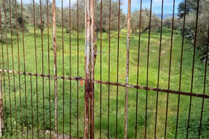TERRENO AGRICOLO S'ARRIDELI SERDIANA
