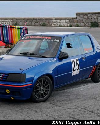 Peugeot 205 Rally preparata