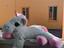 Immagine 1