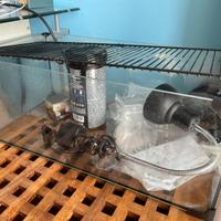 Acquaterrario con filtro esterno e lampada UV