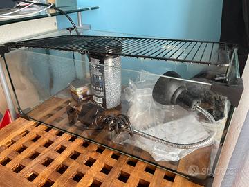 Acquaterrario con filtro esterno e lampada UV