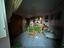 Immagine 14