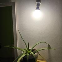 n. 5 Lampadine Beghelli Led 10W (1 Euro/lampadina)