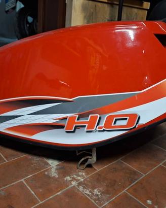 CALANDRA EVINRUDE E-TEC HO 40 Cv