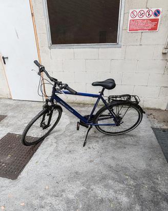 bici PANTHER
