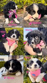 Due mesi - future taglie medie