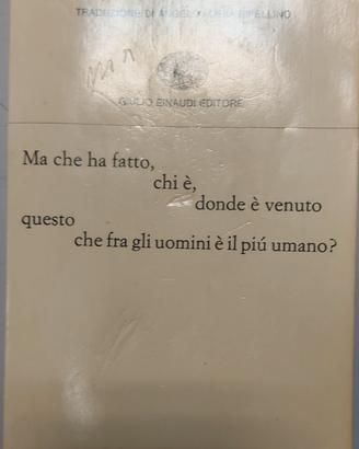 Libro - Collezionismo