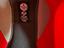 Immagine 6