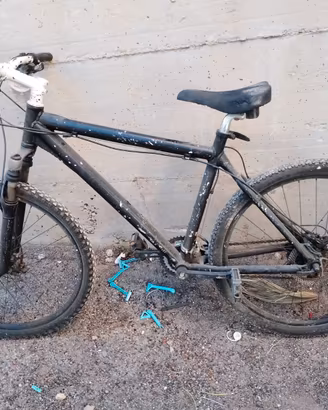 Mountain bike con freni a disco