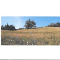 Vendita terreno agricolo montano