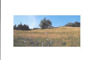 Vendita terreno agricolo montano