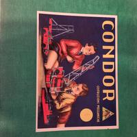 Gioco condor costruzioni