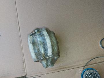 GRAZIELLA CARNIELLI BABY