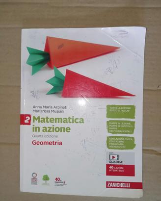 libro matematica in azione Geometria