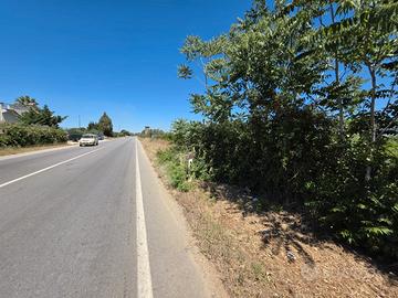 Castelvetrano terreno 3000 mq ss 115 dir selinunte
