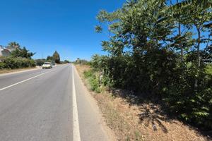 Castelvetrano terreno 3000 mq ss 115 dir selinunte