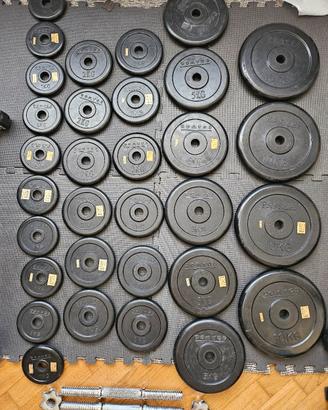 Set dischi gommati più coppia manubri 