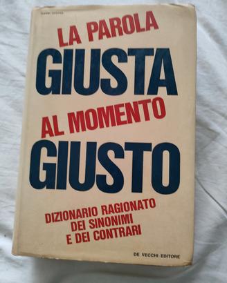 dizionario ragionato